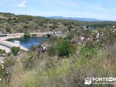 Senda Genaro - GR300 - Embalse de El Atazar - Embalse de Puentes Viejas - Presa de El Villar